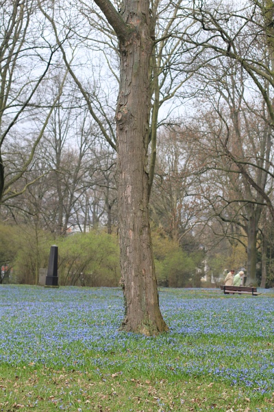 Fruehling   088.jpg